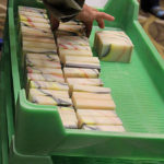 Soap Drying Tray Guild Show